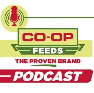 Back To News The Feed Bin- Season 1, Episode 15: The Butchering Business