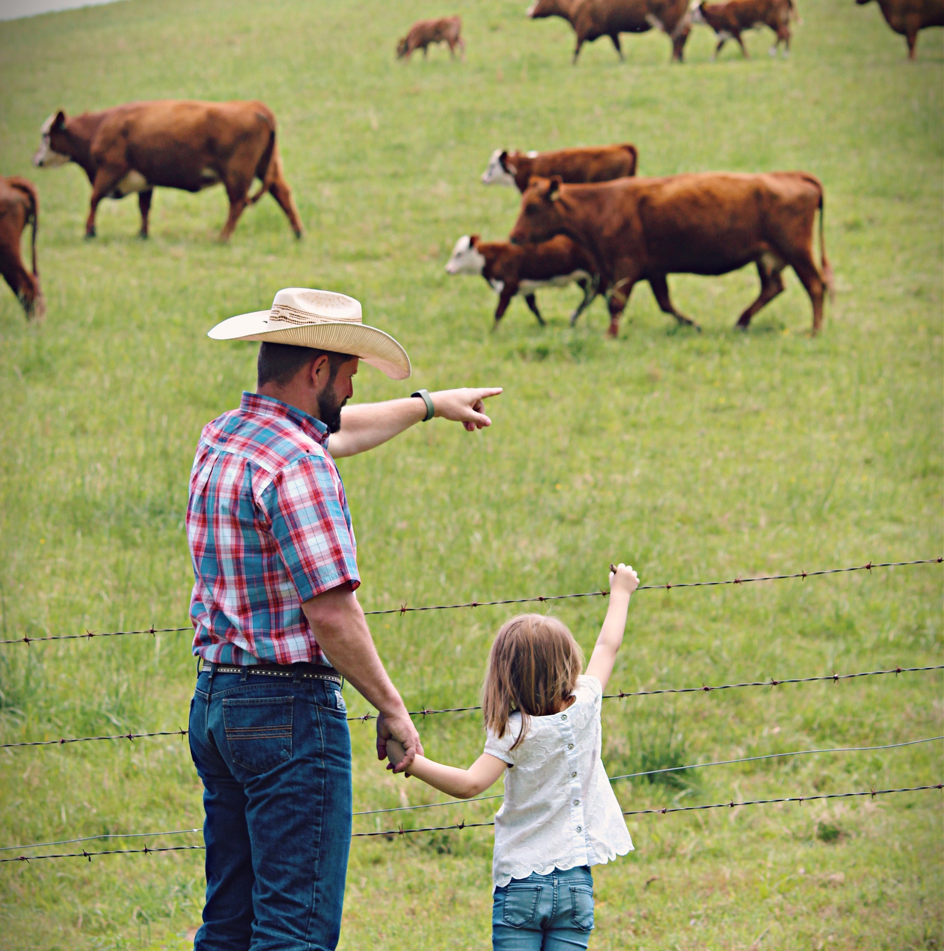 Local Reserve Label Beef