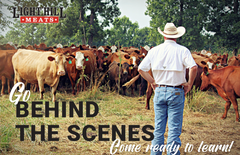 Light Hill Meats Behind The Scenes Event October 14 2023