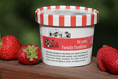 Strawberries 'N Cream Ice Cream - Nash Family Creamery
