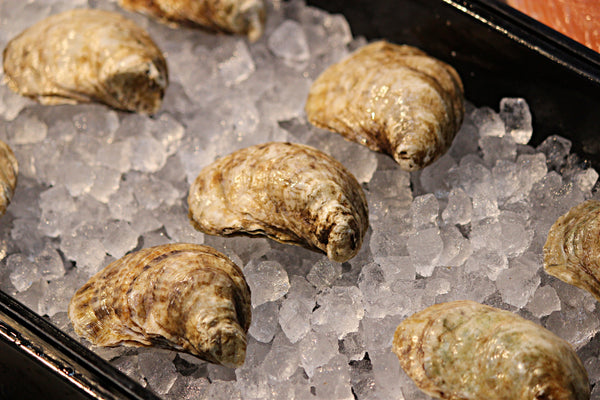 Savage Blonde Oyster