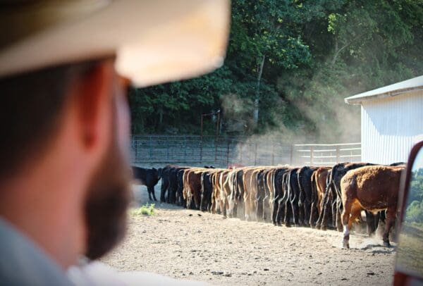 Behind the Scenes On-Farm Tour Oct 18 - Image 3